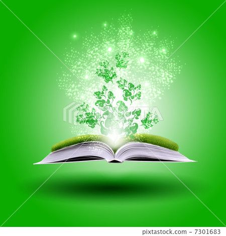 magic book 7301683