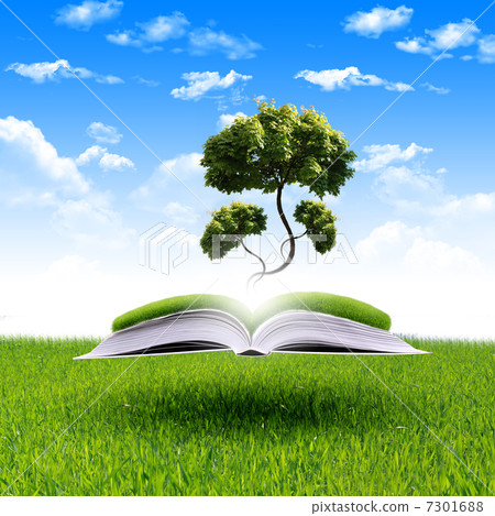 magic book 7301688