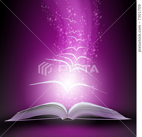 magic book 7301709
