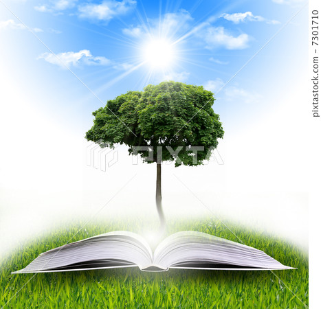 magic book magic book 7301710