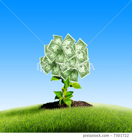 Tree of dollar bills Tree of dollar bills 7301722