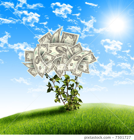 Bush of dollar bills 7301727