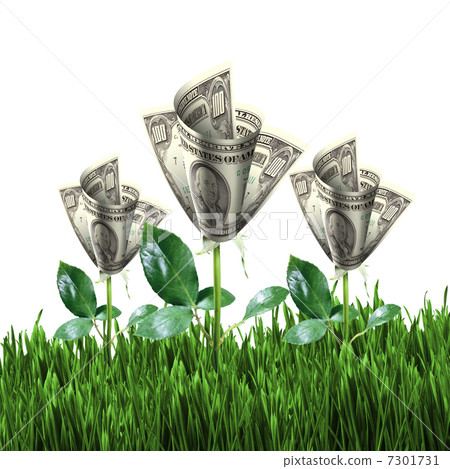 Bush of dollar bills Bush of dollar bills 7301731
