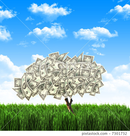 Tree of dollar bills Tree of dollar bills 7301732