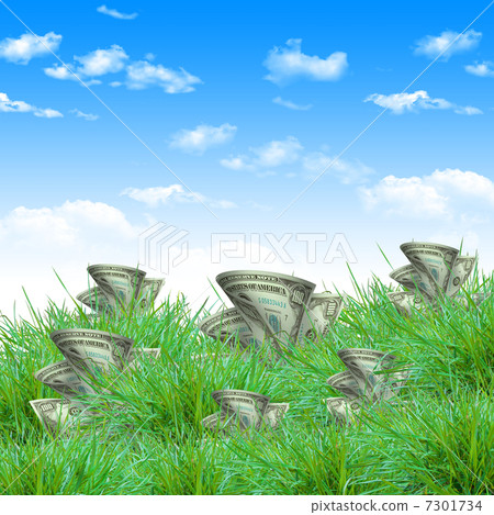 vegetation of dollar bills vegetation of dollar bills 7301734