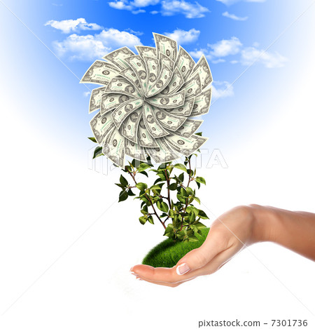 Bush of dollar bills Bush of dollar bills 7301736