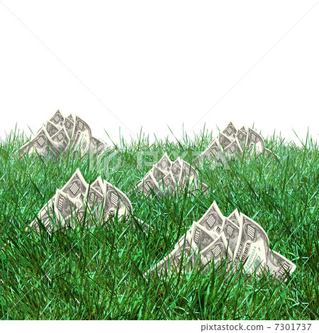 vegetation of dollar bills vegetation of dollar bills 7301737