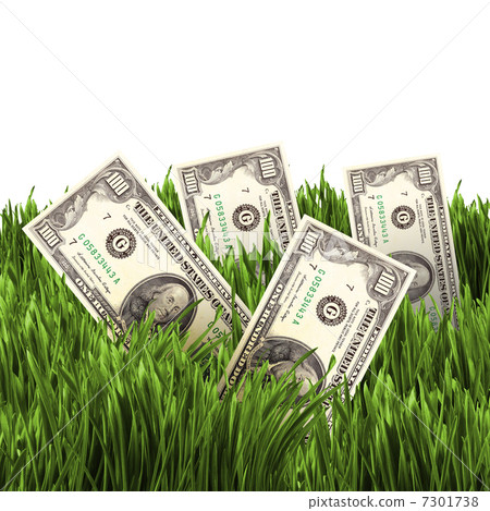 vegetation of dollar bills 7301738