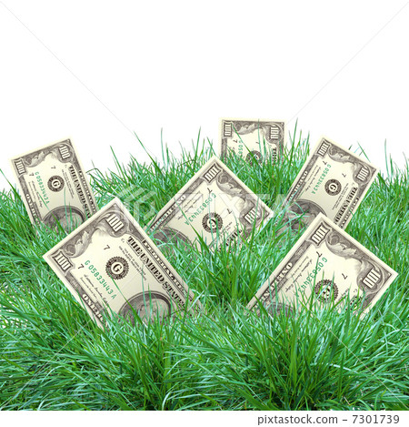 vegetation of dollar bills 7301739