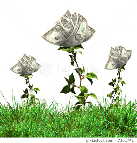 Bush of dollar bills Bush of dollar bills 7301741