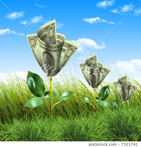 Bush of dollar bills Bush of dollar bills 7301742