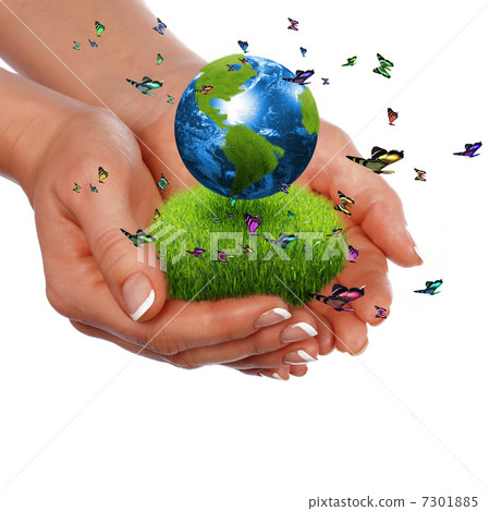 multicolored butterflies 7301885