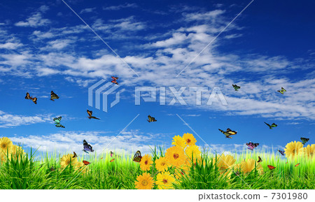 Beautiful flowers against the blue sky 7301980