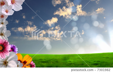 Beautiful flowers against the blue sky Beautiful flowers against the blue sky 7301982