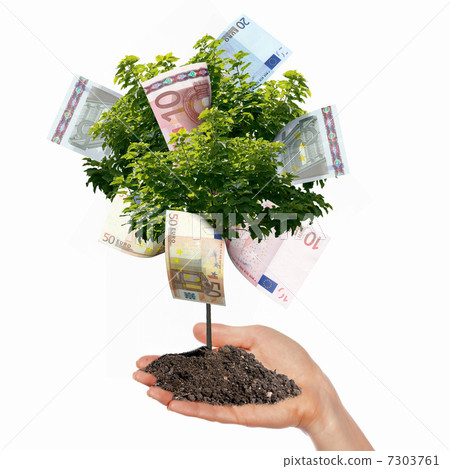Money Tree Money Tree 7303761