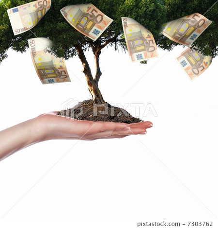 Money Tree Money Tree 7303762