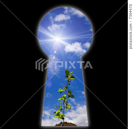 Keyhole - the door 7304478