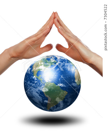Palm and Earth 7304522