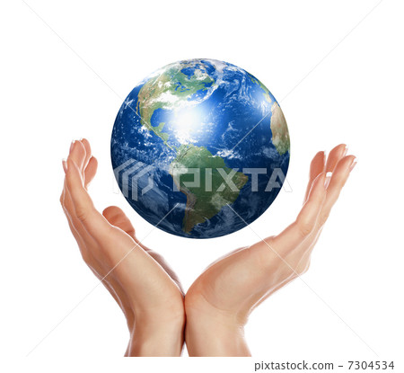 Palm and Earth 7304534