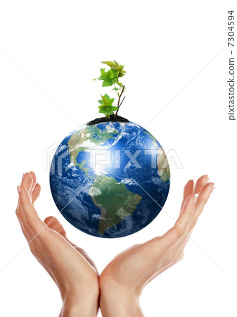 hands, the sprout and Earth 7304594