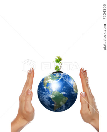 hands, the sprout and Earth hands, the sprout and Earth 7304596
