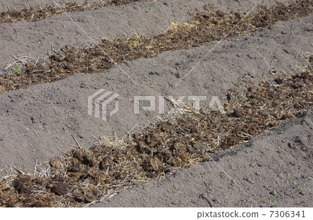 有機肥和田間肥料和田間 有機肥和田間肥料和田間 7306341