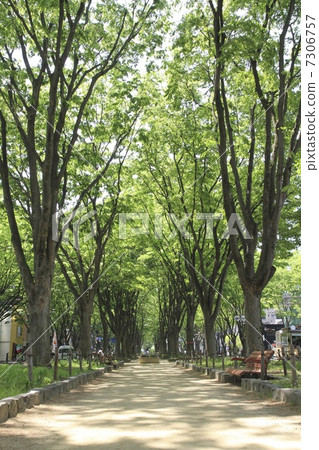 Sendai Zen Zendo Sendai Zen Zendo 7306757