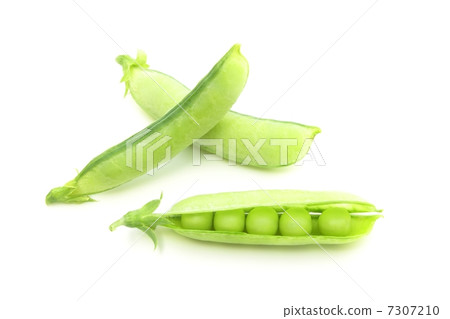 豌豆 7307210