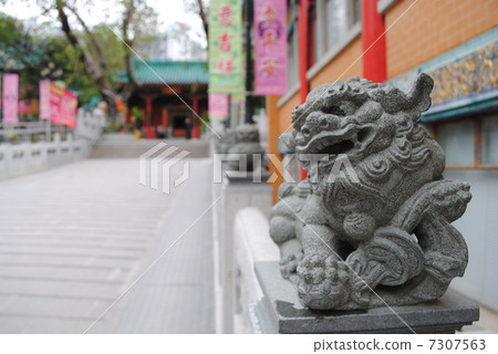 Hong Kong's guardian lone dog Hong Kong's guardian lone dog 7307563