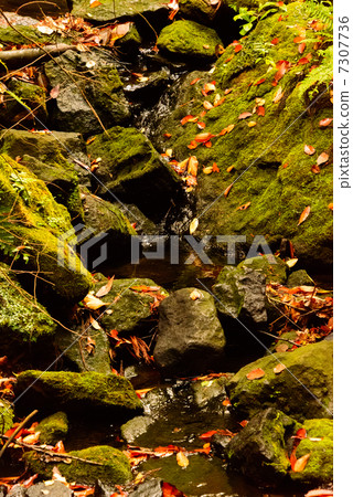 Kamakura湖在秋天鎌倉 7307736