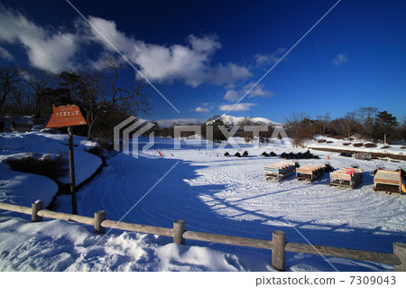Onuma Park in winter 7309043