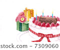 生日蛋糕 7309060