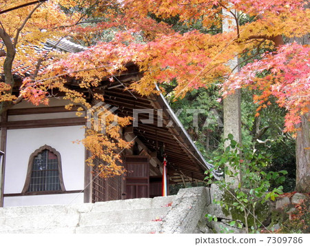 Nagakuda Temple Nagakuda Temple 7309786