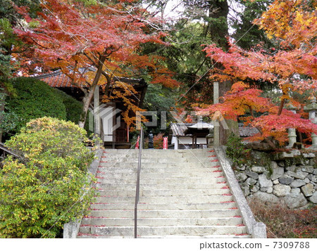 Nagakuda Temple Nagakuda Temple 7309788