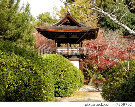 Temple Sakuramon 7309792