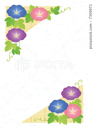 Morning glory in hot weather 7309971