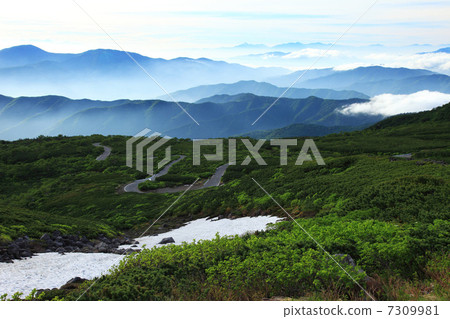 Norikura在夏天玩 7309981