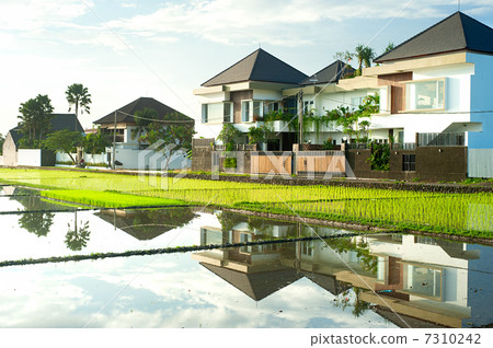Cottages on Bali 7310242