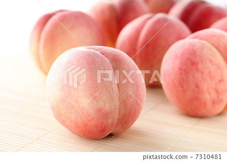 桃子·整個8模糊 桃子·整個8模糊 7310481