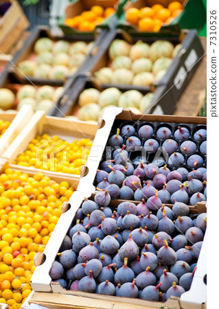 Raspail market 7310526