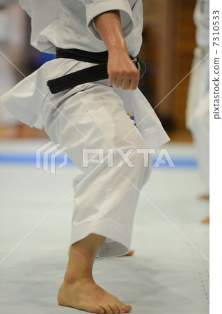 空手道 7310533
