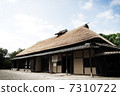 Thatched roof house 7310722