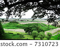 Tomb 7310723