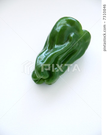 青椒 7310846
