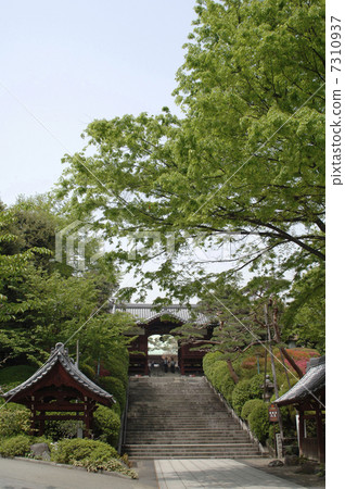 Gokokuji不朽的大門 7310937