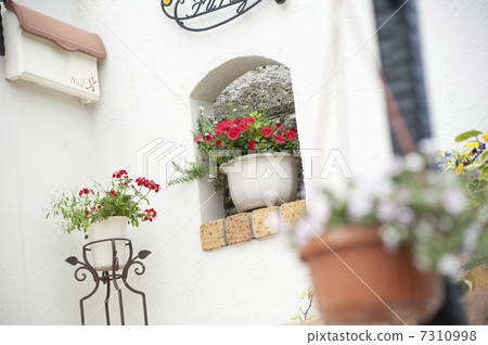 在入口處的花 7310998