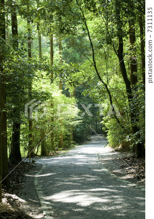 Ise shrine Imperial Palace entrance 7311135