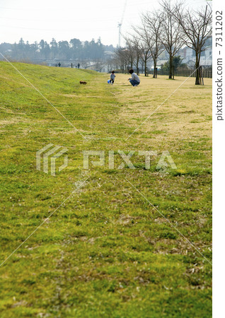 Tone River riverbed 7311202