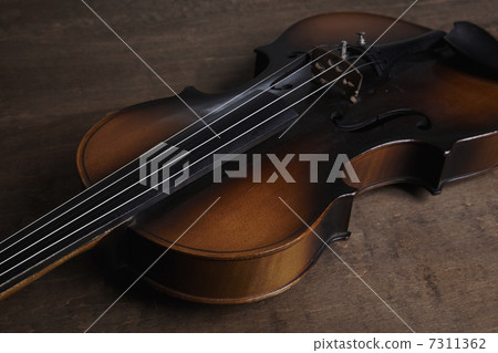 A violin 7311362