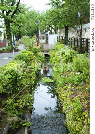 北澤河綠道 7311380